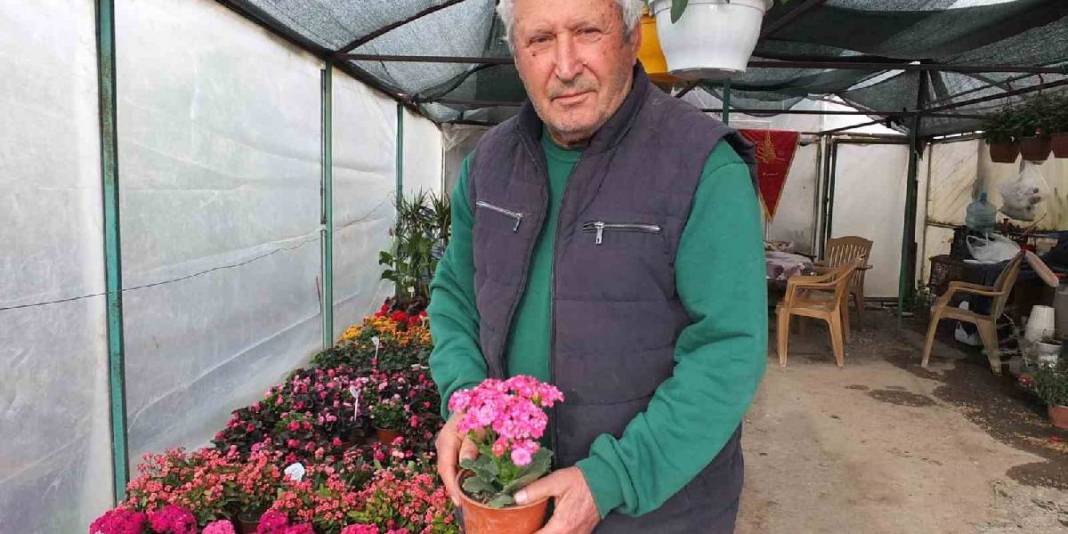 Memurluktan emekli oldu kendini fidanlara adadı: Tam 500 çeşidi sağlığına kavuşturdu 4